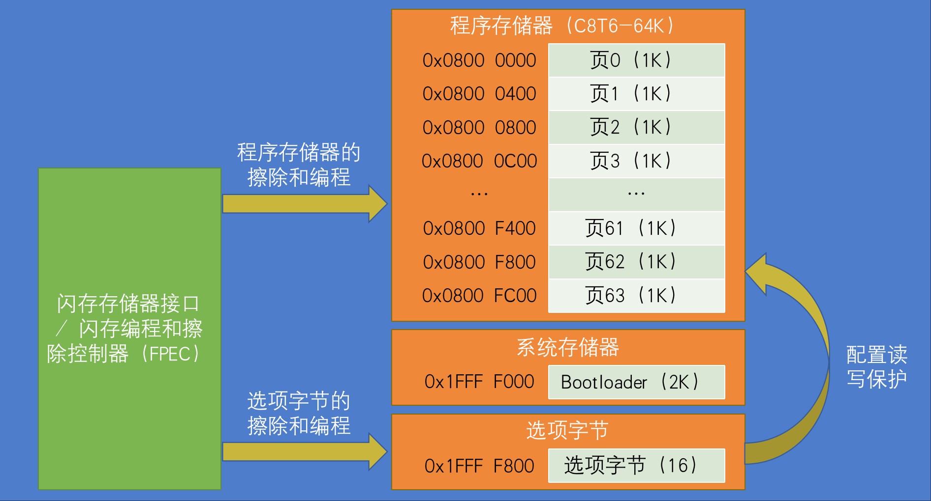 FLASH基本结构